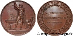 NAPOLEON S EMPIRE Médaille, Baptême du roi de Rome