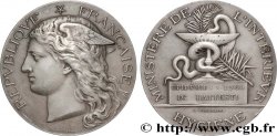 DRITTE FRANZOSISCHE REPUBLIK Médaille, Épidémies