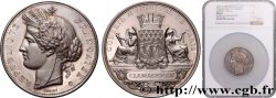 III REPUBLIC Médaille, Conseil municipal