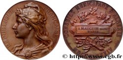 ALGERIA - THIRD REPUBLIC Médaille, Conseils généraux d’Algérie AU