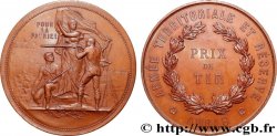 TROISIÈME RÉPUBLIQUE Médaille, Armée territoriale et réserve, Prix de Tir