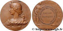 DRITTE FRANZOSISCHE REPUBLIK Médaille, Comice agricole, Engrais chimiques