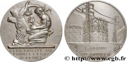 ENTREPRISES, INDUSTRIES ET COMMERCES DIVERS Médaille de mérite EDF / GDF, 30 années