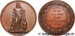 LUDWIG XVIII Médaille, Récompense