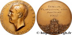 NIEDERLANDE Médaille, Festival de film amateur