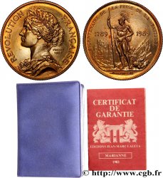 V REPUBLIC Médaille, Bicentenaire de la Révolution Française, Prise de la Bastille