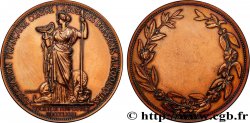 ASSOCIATIONS PROFESSIONNELLES - SYNDICATS Médaille, Société de tempérance