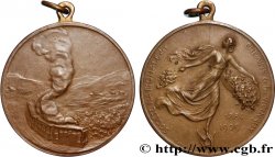 BÉLGICA - REINO DE BÉLGICA - ALBERTO I Médaille, Société nationale des chemins de fer Vicinaux