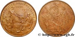 BELGIQUE - ROYAUME DE BELGIQUE - LÉOPOLD II Médaille, Exposition universelle de Liège