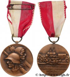 SUISSE - CONFÉDÉRATION HELVÉTIQUE - CANTON DE BÂLE Médaille, XIe congrès international de médecine et pharmacie