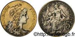 5 centimes Daniel-Dupuis, argenté et doré 1916  F.119/29 var. TTB52 