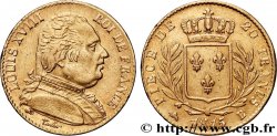 20 francs or Louis XVIII, buste habillé 1815 Rouen F.517/11