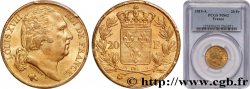 20 francs or Louis XVIII, tête nue 1819 Paris F.519/15