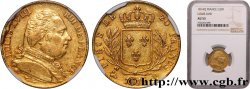 20 francs or Louis XVIII, buste habillé 1814 Perpignan F.517/8
