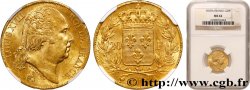 20 francs or Louis XVIII, tête nue 1818 Paris F.519/10