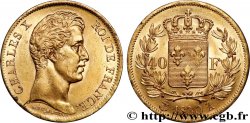 40 francs or Charles X, 2e type 1830 Paris F.544/5