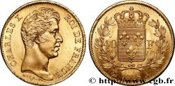 40 francs or Charles X, 2e type 1828 Paris F.544/3