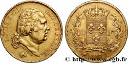 40 francs or Louis XVIII 1817 Paris F.542/6