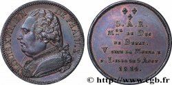 Monnaie de visite, module de 5 Francs, pour Charles-Ferdinand de Berry à la Monnaie de Lille 1814 Lille T.T.2709 a.3