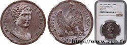 Module de 100 francs, essai de Vassallo 1807 Gênes T.T.1508 3