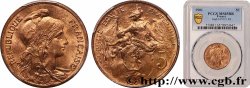 5 centimes Daniel-Dupuis 1901  F.119/11