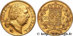 20 francs or Louis XVIII, tête nue 1819 Perpignan F.519/16