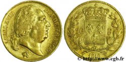 20 francs or Louis XVIII, tête nue, coin cassé 1818 Lille F.519/14 TTB45 