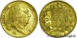 20 francs or Louis XVIII, tête nue, coin cassé 1819 Paris F.519/15