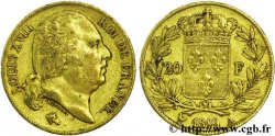 20 francs or Louis XVIII, tête nue 1819 Paris F.519/15