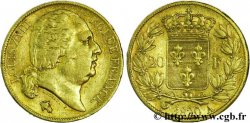 20 francs or Louis XVIII, tête nue 1820 Paris F.519/19