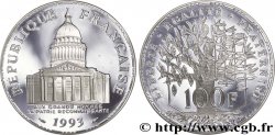 100 francs Panthéon, Belle Épreuve 1993  F.451/14 ST 