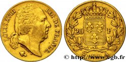 20 francs or Louis XVIII, tête nue 1819 Paris F.519/15
