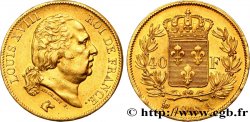 40 francs or Louis XVIII 1818 Paris F.542/7