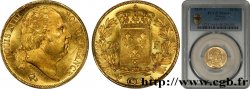 20 francs or Louis XVIII, tête nue 1819 Paris F.519/15