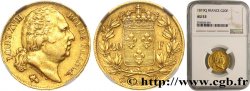 20 francs or Louis XVIII, tête nue 1819 Perpignan F.519/16