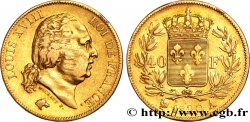 40 francs or Louis XVIII 1820 Paris F.542/10