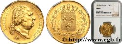 40 francs or Louis XVIII 1818 Lille F.542/8