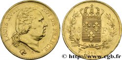 40 francs or Louis XVIII 1818 Lille F.542/8