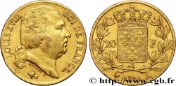 20 francs or Louis XVIII, tête nue 1819 Paris F.519/15