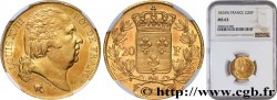 20 francs or Louis XVIII, tête nue 1824 Lille F.519/34