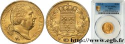 20 francs or Louis XVIII, tête nue 1819 Paris F.519/15