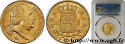 20 francs or Louis XVIII, tête nue 1819 Paris F.519/15