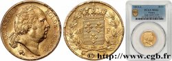 20 francs or Louis XVIII, tête nue 1819 Paris F.519/15