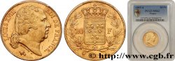 20 francs or Louis XVIII, tête nue 1819 Paris F.519/15
