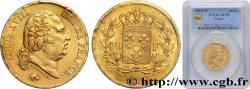 40 francs or Louis XVIII 1819 Lille F.542/9