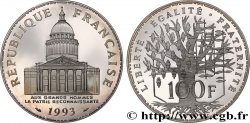 100 francs Panthéon, Belle Épreuve 1993  F.451/14 var.