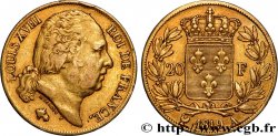 20 francs or Louis XVIII, tête nue 1819 Paris F.519/15