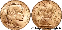 20 francs or Coq, Liberté Égalité Fraternité 1910 Paris F.535/4