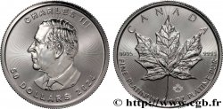 ORO, PALADIO Y PLATINO INVERSIÓN 1 Oz - 50 Dollars platine  mapple leaf  2024 