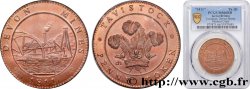 ROYAUME-UNI (TOKENS) 1 Penny Token Tavistock Mines (Devon)  1811  FDC66 PCGS